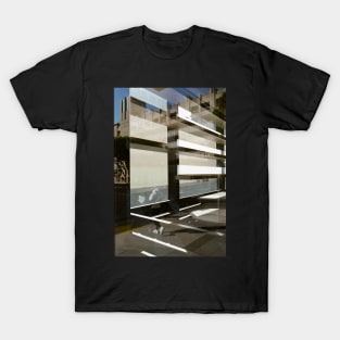 Through a Window T-Shirt